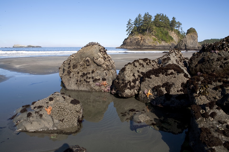 California Coastal Landscape