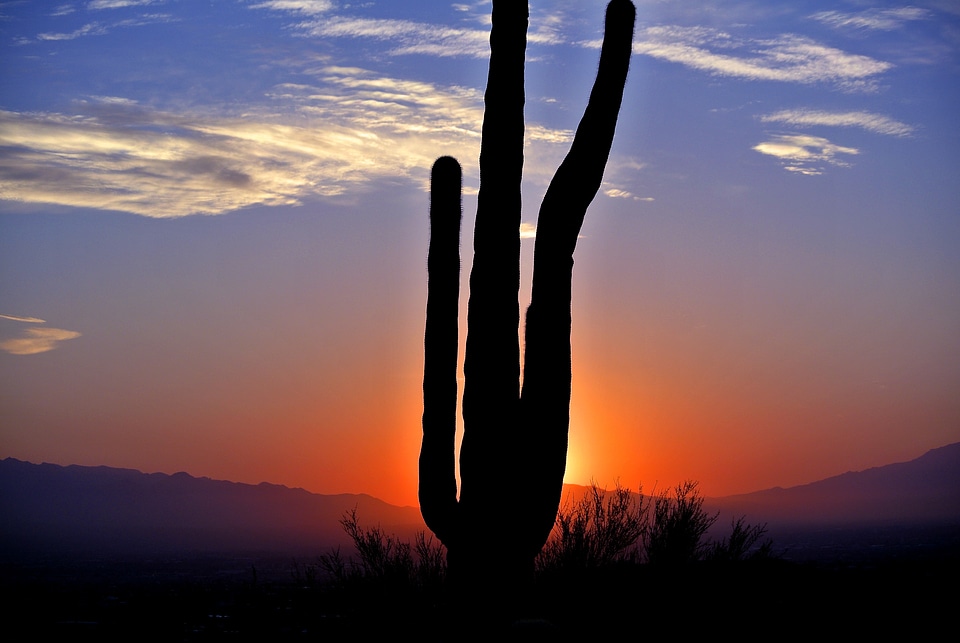 Landscape nature arizona