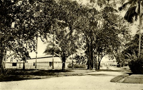 KITLV - 78471 - Kleingrothe, C.J. - Medan - Fermentation and sorting barns on a plantation at Padang Bulan in Medan, Sumatra - circa 1905