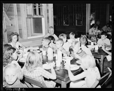 Noon day meal at the camp. Meal consisted of macaroni and cheese, raw green vegetable salad, peanut butter, bread... - NARA - 540909