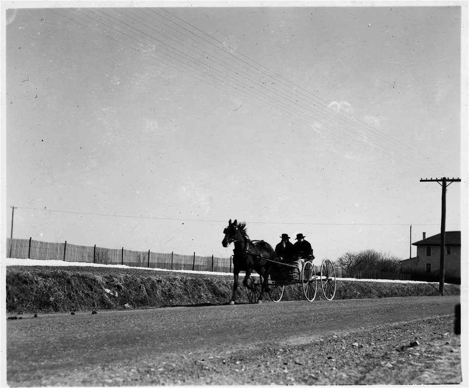Lancaster County, Pennsylvania. This open Amish buggy is particularly popular with young, unmarried . . . - NARA - 521140