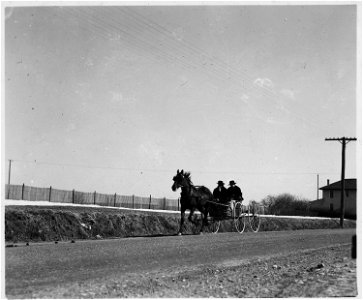 Lancaster County, Pennsylvania. This open Amish buggy is particularly popular with young, unmarried . . . - NARA - 521140