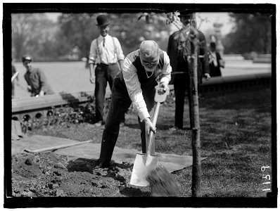 MANN, JAMES R. REP. FROM ILLINOIS, 1897-1922. PLANTING TREE AT CAPITOL LCCN2016863708