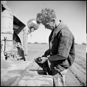 Monterey County, California. Rural youth. Mechanization, the agricultural employee. Checking the oil on a caterpillar... - NARA - 532172