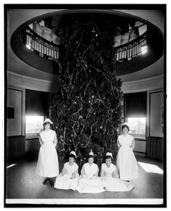 Garfield Hospital, (Washington, D.C.), Christmas tree LCCN2016824117