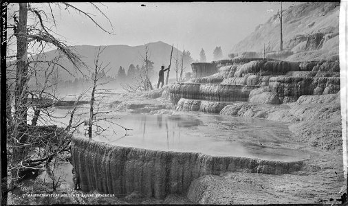 Mammoth Hot Springs, lower basins, looking up. Yellowstone National Park. - NARA - 517118 photo