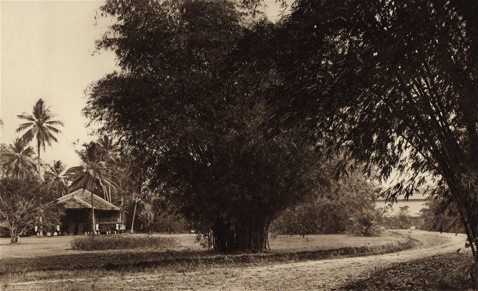 KITLV - 88278 - Kleingrothe, C.J. - Medan - Bamboo chair on the plantation Mariëndal of the Deli Company in Deli - 1905