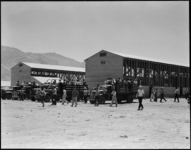 Manzanar Relocation Center, Manzanar, California. Making camouflage nets for the War Department. T . . . - NARA - 538103