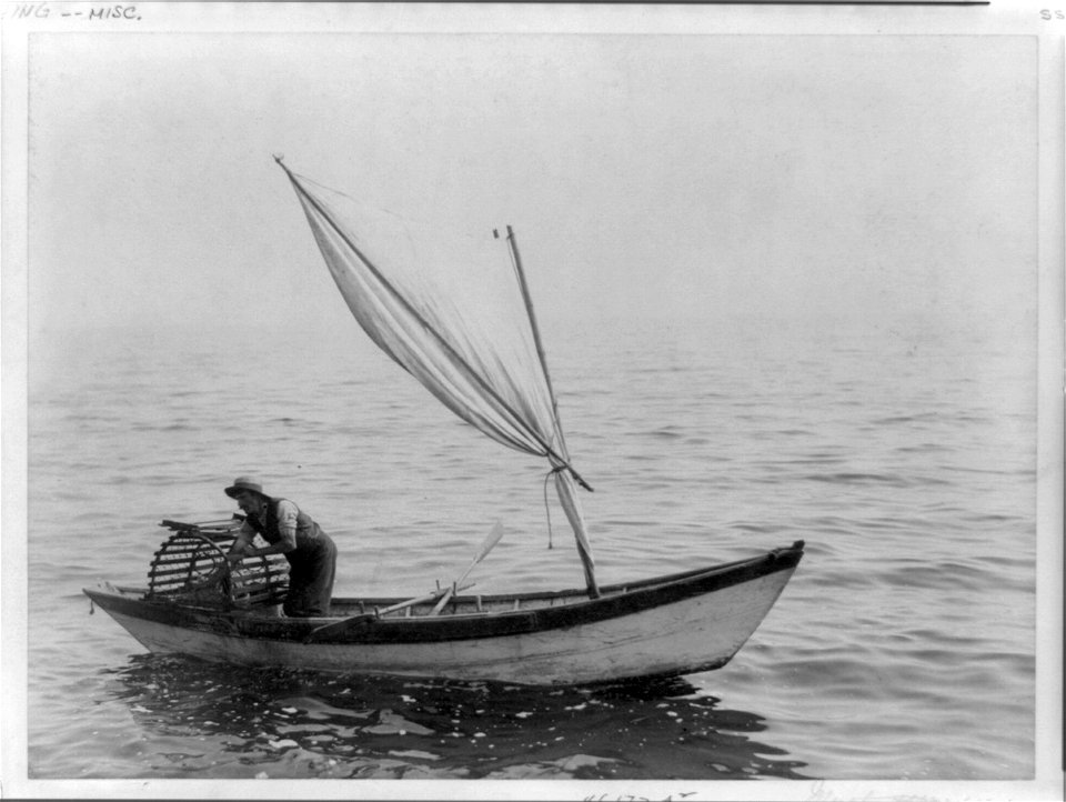 Man in small sailboat fishing for shellfish LCCN92500058