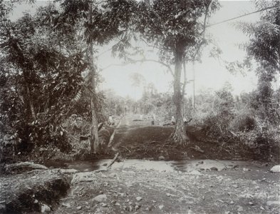 KITLV - 86776 - Stafhell & Kleingrothe - Medan-Deli - Reclamation of land on the grounds of a company, probably in Deli - circa 1900