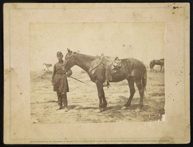 Major William M. Maynadier of 1st Regular Army Light Artillery Regiment and his horse LCCN2016652263
