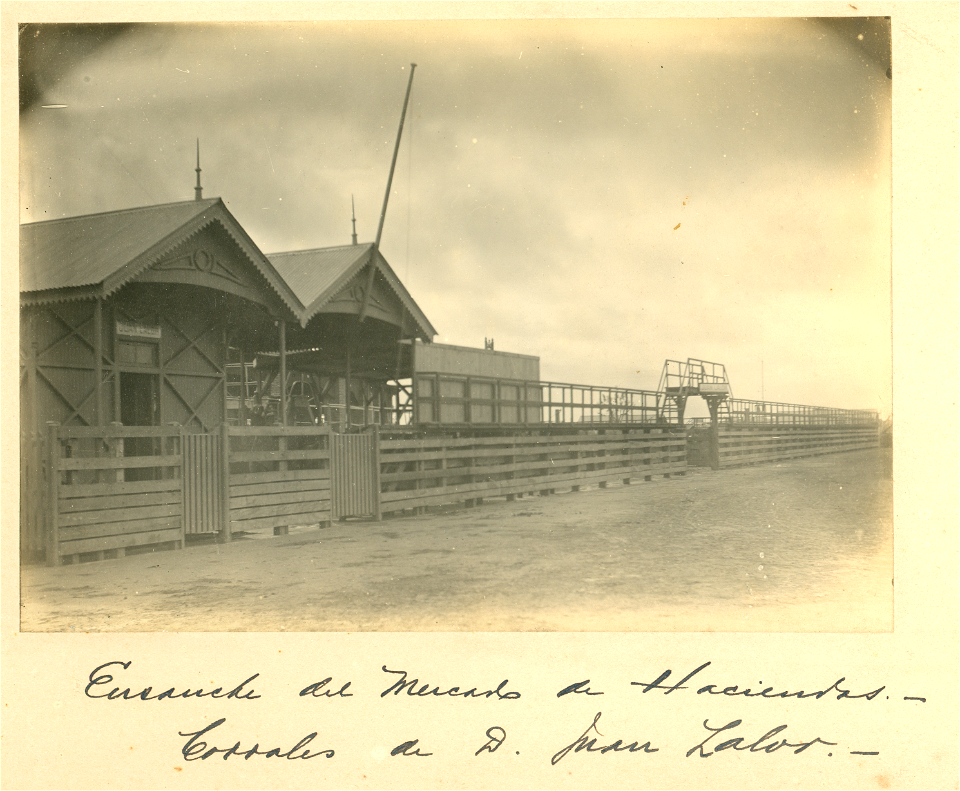 MG-05-003 (Ensanche del Mercado de Hacienda.- Corrales de D. Juan Lalor)