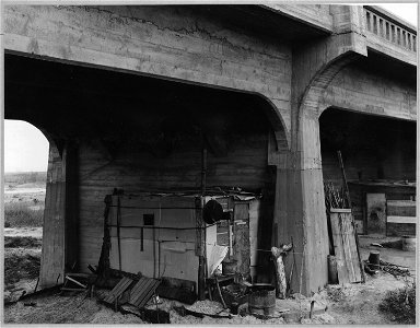 Marysville, Yuba County, California. Squatter shacks under D Street Bridge.... On edge of old Califo . . . - NARA - 521734 photo