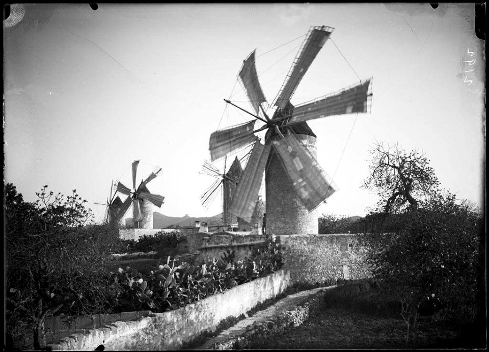 Molins de Manacor (AFCEC SOLER D 2192)