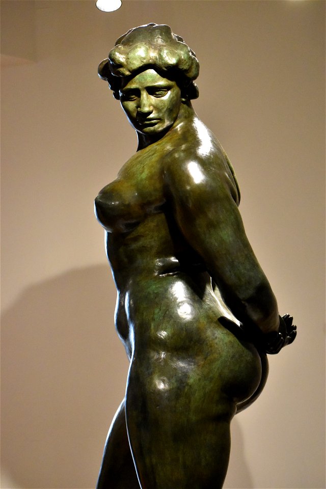 Maillol - Action enchaînée 03