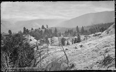 Mammoth Hot Springs, view from upper terrace. Yellowstone National Park. - NARA - 517187