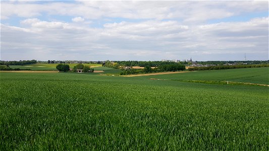 Maastricht-Vroenhoven-Grenspaal 75a (BE-NL) (1)