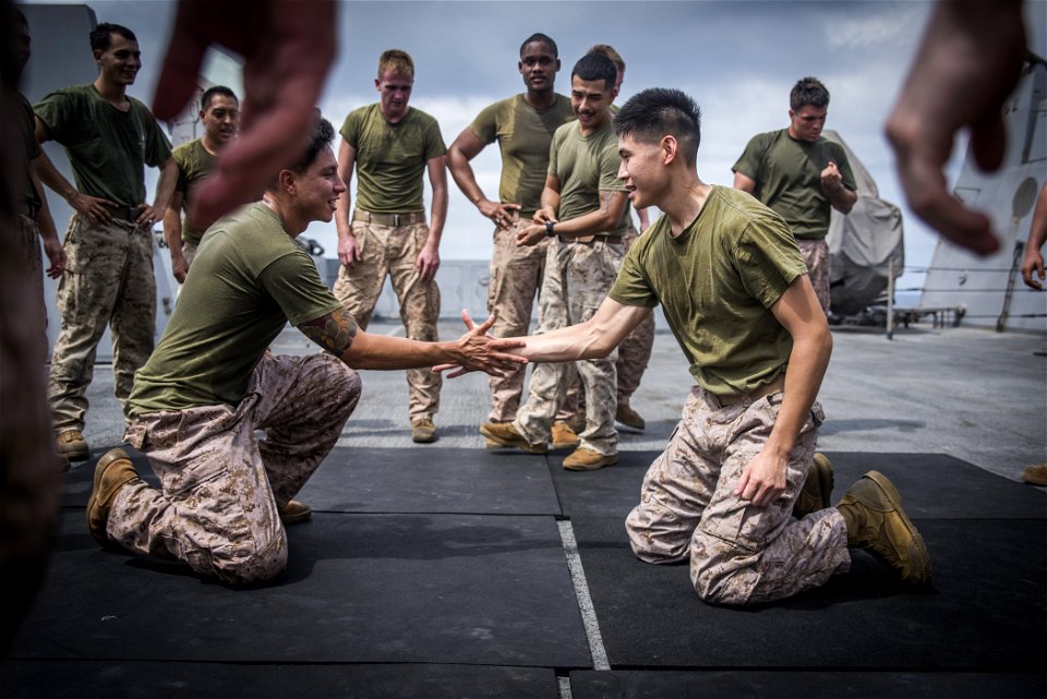 Marine Corps Martial Arts Program (27938261125)