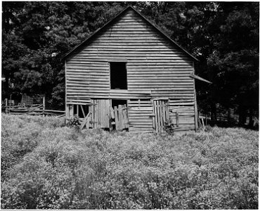 Harmony Community, Putnam County, Georgia.... Though the home of white operators range from shacks . . . - NARA - 521301 photo