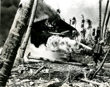 Flamethrower-RG-208-AA-158-L-010