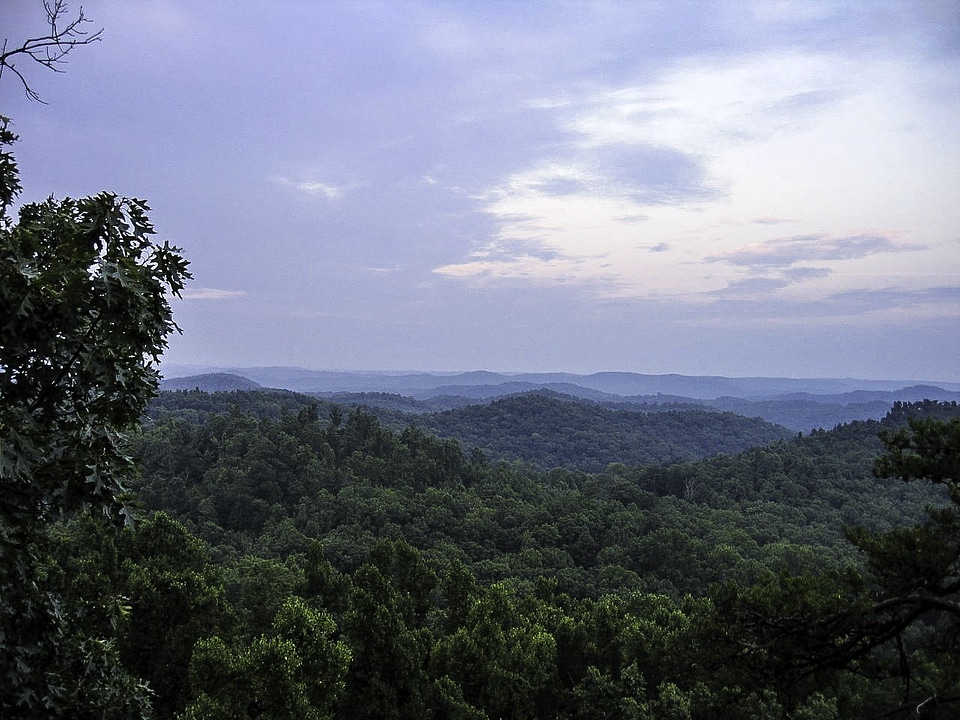 Landscape and forest in Daniel Boone National Forest in Kentucky
