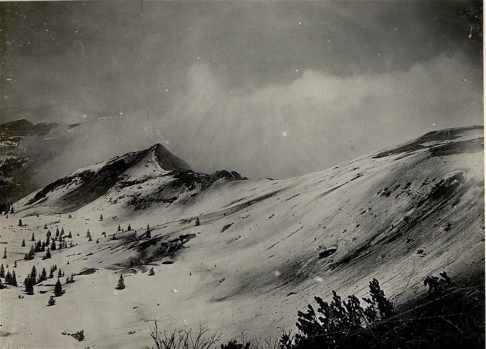 Monte Maggio. Gefechtsfeld. Aufgenommen am 22. Mai 1916. (BildID 15534203)