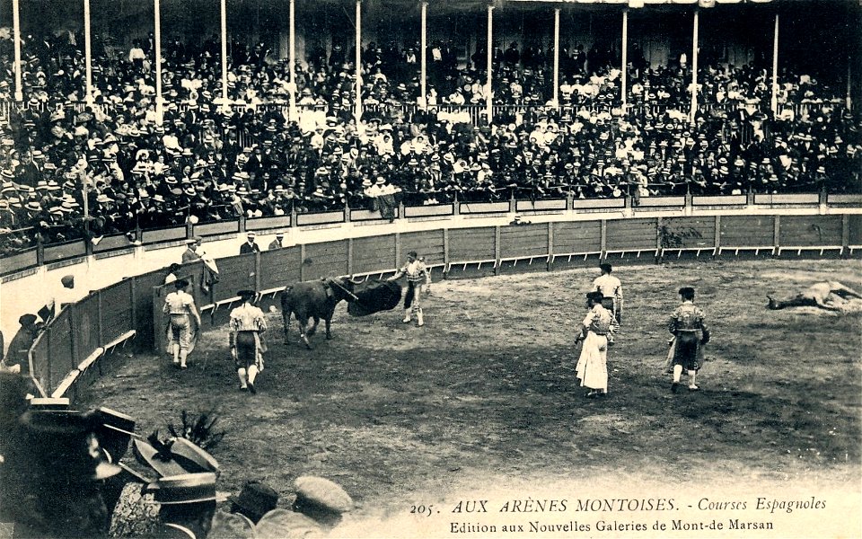 Mont-de-Marsan - Arènes - Courses espagnoles 4