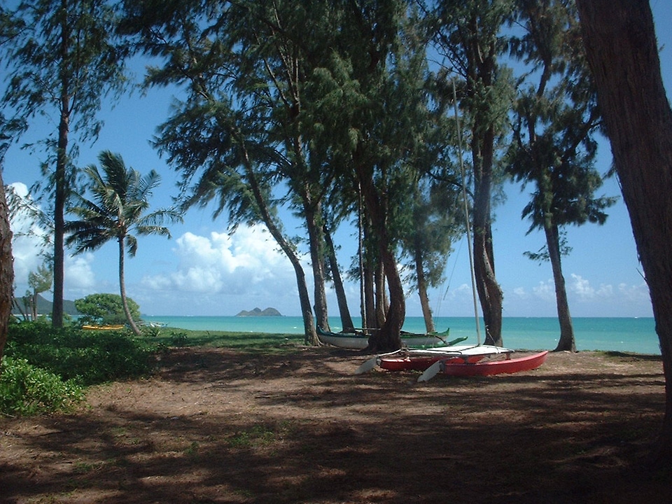 Peaceful and typical scene behind the residential areas of Waimānalo in Hawaii