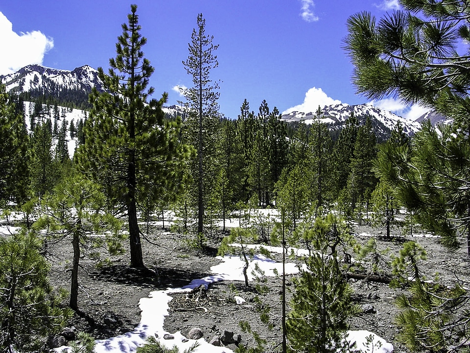 The Devstated Area of Lassen Volcanic National Park, California