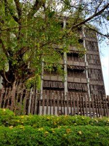 Phra Athit Road - 2017-01-26 (001)