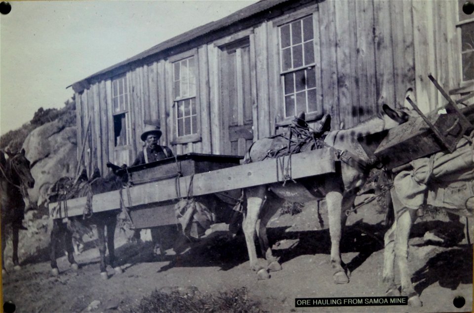 Mohave Museum of History and Arts 27