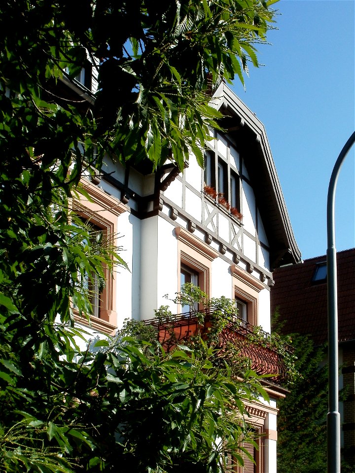 20110520Bluecherstr21_St_Arnual3
