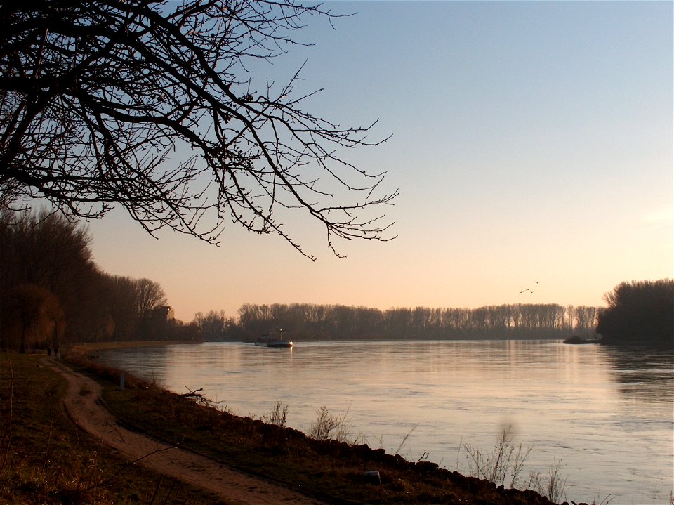 20110117Rhein_Altlussheim8