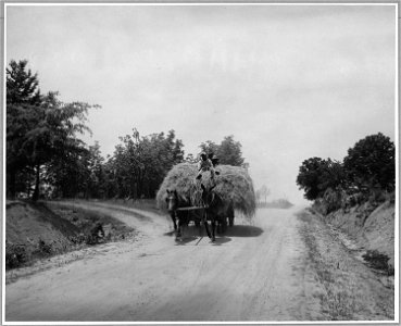 Harmony Community, Putnam County, Georgia. A wagon-load of oat hay coming in from the field. These o . . . - NARA - 521333 photo