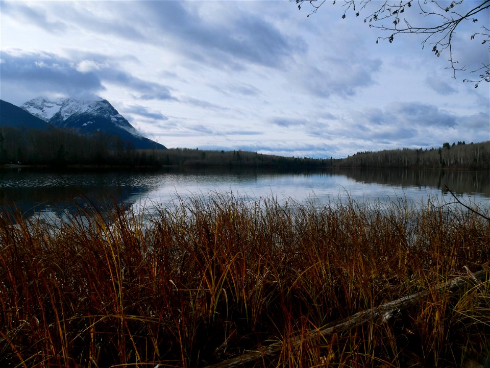 Autumn View from Ross Lake Provincial Park