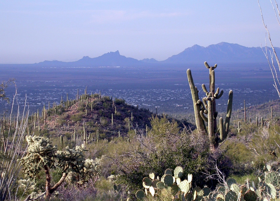 Saguaro National Park landscape with hills, Arizona