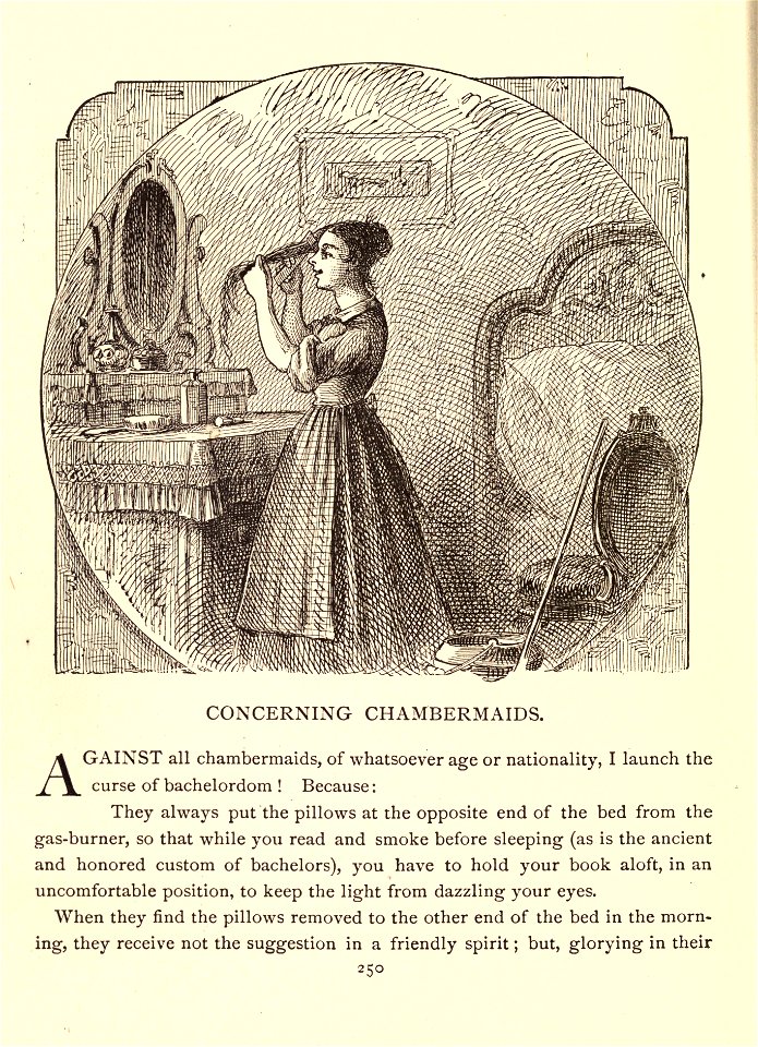 Mark Twain's Sketches, New and Old, p. 250
