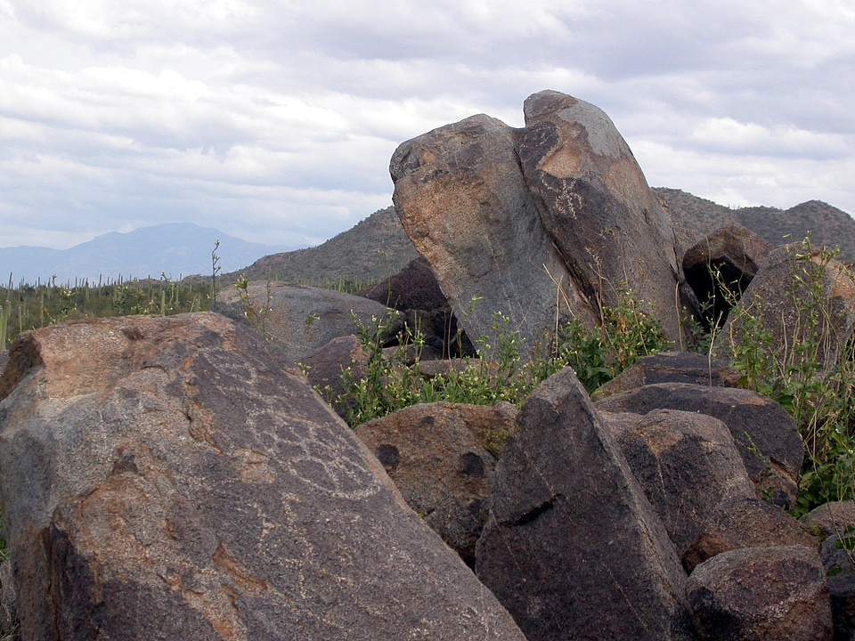 Petroglyphs and Landscape in Saguaro National Park, Arizona