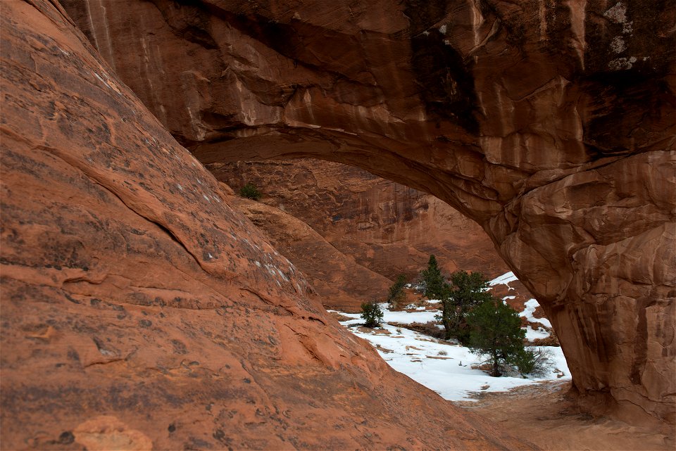 Private Arch (39692335260)