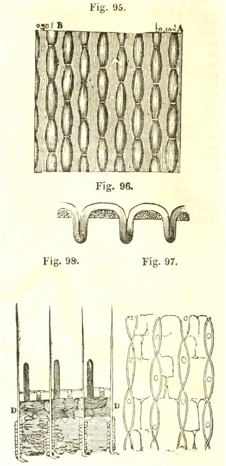 Maison rustique du XIXe siècle, éd. Bixio, 1844, I (page 130) - Fig 95, 96, 97, 98