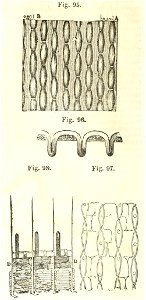 Maison rustique du XIXe siècle, éd. Bixio, 1844, I (page 130) - Fig 95, 96, 97, 98