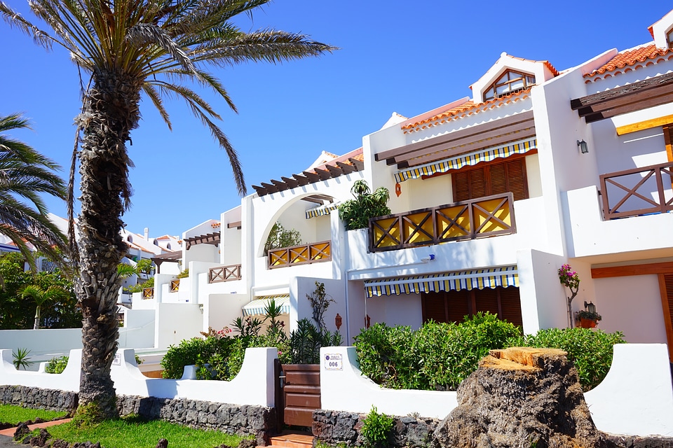Sea view palm trees dream holiday