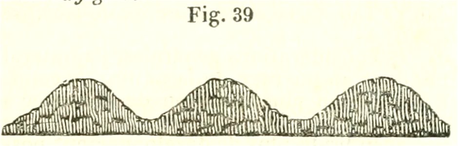 Maison rustique du XIXe siècle, éd. Bixio, 1844, I (page 55) - Fig 39