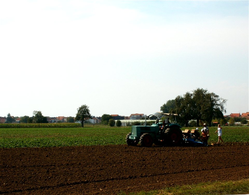 20110826Ernte_Reilingen