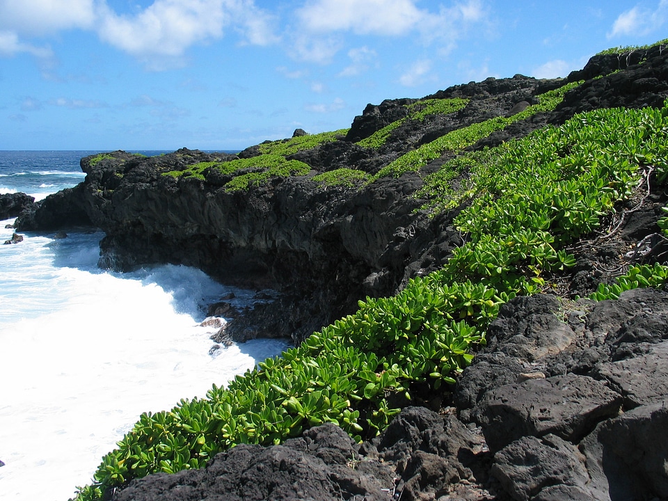 Kipahulu region in Haleakalā National Park