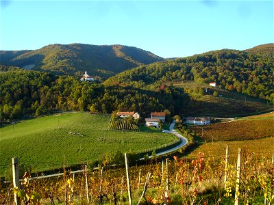 Pišece Castle 23 photo