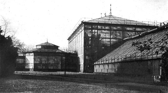 Magdeburg Gruson-Gewächshäuser im Klosterbergegarten