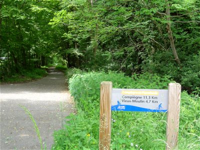 Pierrefonds (Oise) piste cyclable de la Forêt de Compiègne