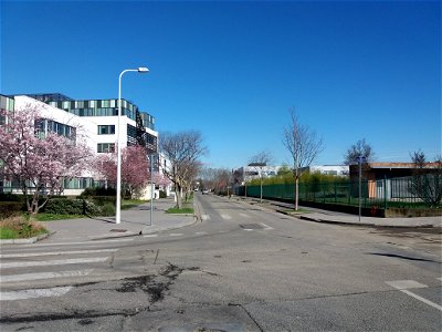 Lyon 7e - Rue Saint-Jean de Dieu, côté nord, à l'intersection avec la rue Jean Grolier