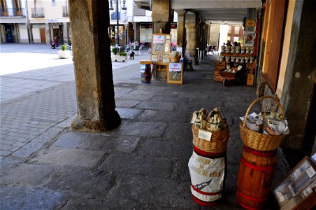 Barco de Ávila (15533705349)